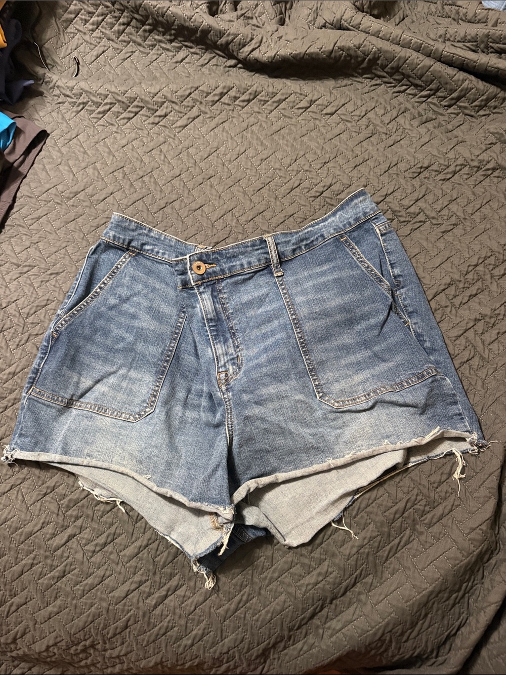 Torrid Vintage-Inspired Blue Denim Women's Shorts size 22